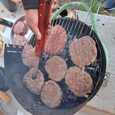 זבליאק Vule Bungalovi מראה חיצוני תמונה